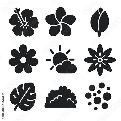 Tropical Flower Icons. Solid, filled icons set of tropical flower blooming: hibiscus flower, plumeria petal,