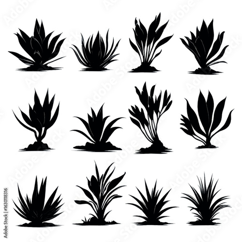 agave silhouette set, Black & White silhouette set