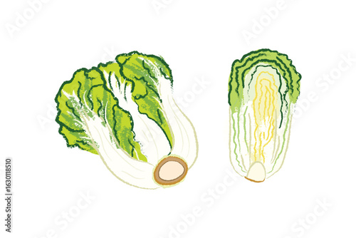 Whole and half raw fish napa cabbage