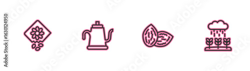 Set line Pack full of seeds of plant, Seed, Watering can and Plant sprouts grow the rain icon. Vector