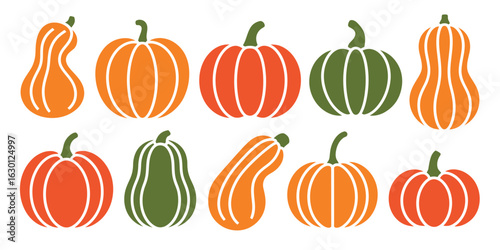 Autumn harvest pumpkins in orange and green squash.eps