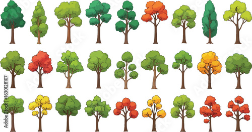 Set of trees vector image, cartoon tree collection,Tree set image, green trees vector illustration,Tropical trees vector illustration set, cartoon tree plant collection.