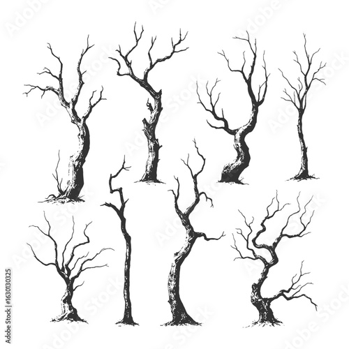 Set of twisted, eerie dead trees drawn in vintage black and white sketch style for horror or nature themes.
