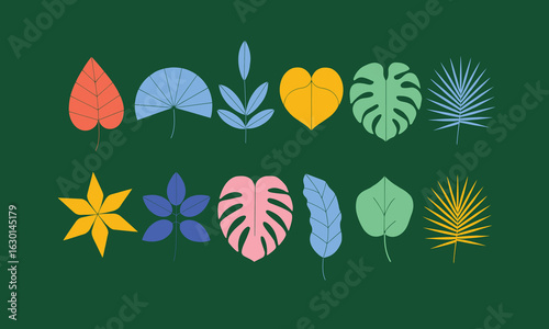 Set of colorful tropical and exotic leaves, including palm, monstera, and fan shapes, in a modern, flat-style vector illustration on a dark green background.

