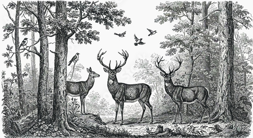 Vintage woodland scene with deer and birds in detailed engraving
