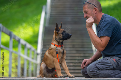 Focused Training Moment Between a Man and His Attentive Belgian Malinois Puppy Outdoors









Спросить ChatGPT