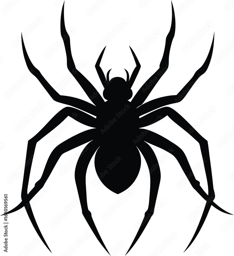Obraz premium Black spider silhouette isolated on white background