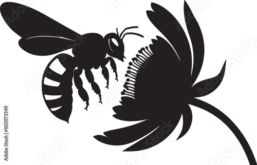 Silhouette of a Bee Hovering Over a Flower Collecting Nectar for Pollination	