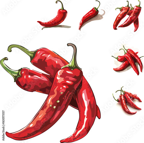 red chili peppers in color style and no background