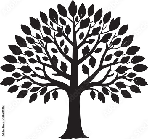 Elegant Silhouette of a Lush Leafy Tree Branching Out Beautifully	