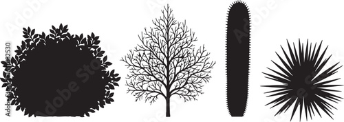Black Silhouette Plant Collection Isolated on White, plant, silhouette, bush, tree, cactus, agave, succulent, flora, vegetation, nature, garden, botanical, design element, graphic, isolated, white bac