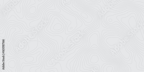 "Minimalistic light gray topographic map background with contour lines. Abstract elevation pattern ideal for geolocation themes, maps, infographics, or modern design textures"