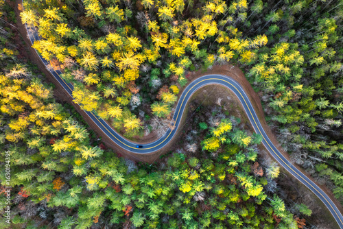 Obraz na płótnie Car driving along mountain road surrounded by colorful autumn trees in Tennessee