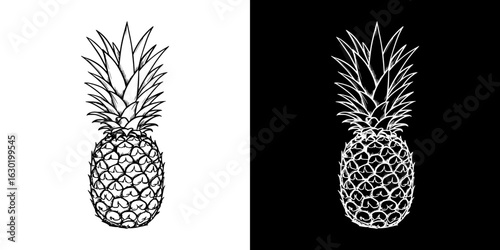 Pineapple illustration, isolated vector image, two design variants on transparent and black background, pencil drawing, chalk drawing
