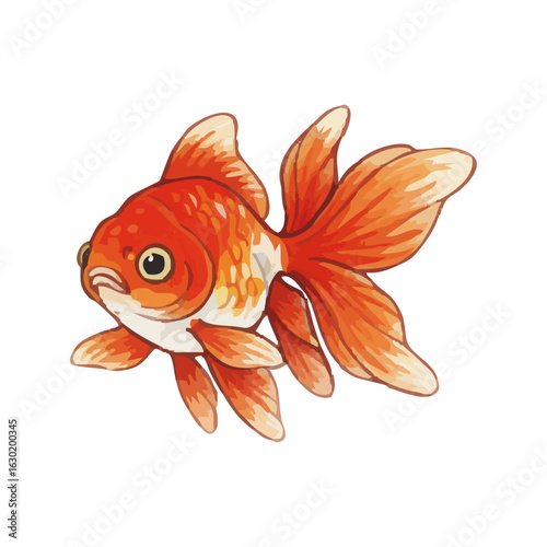 Watercolor goldfish illustration