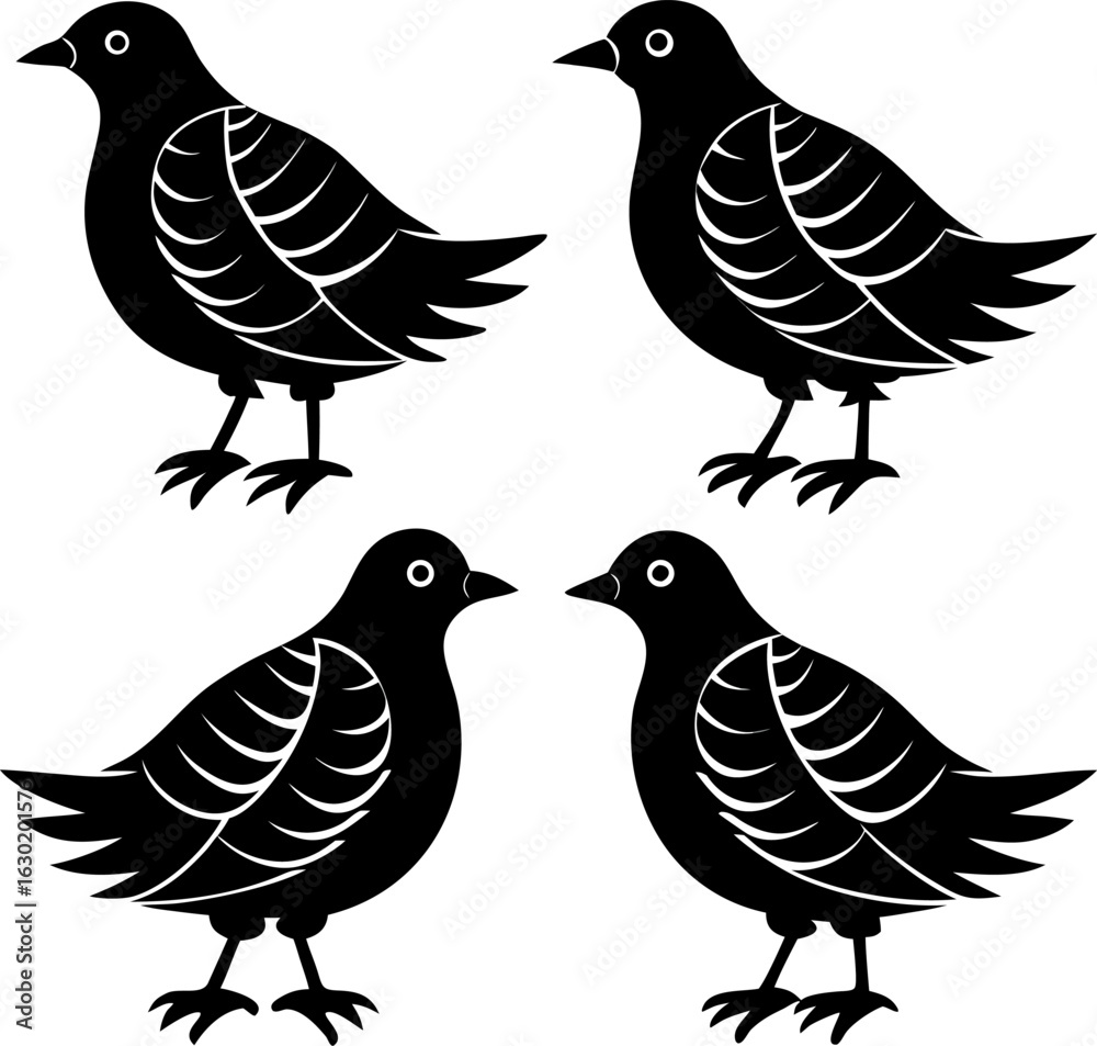 Fototapeta premium four-black-silhouettes-of-birds--positioned-in-dif3.eps