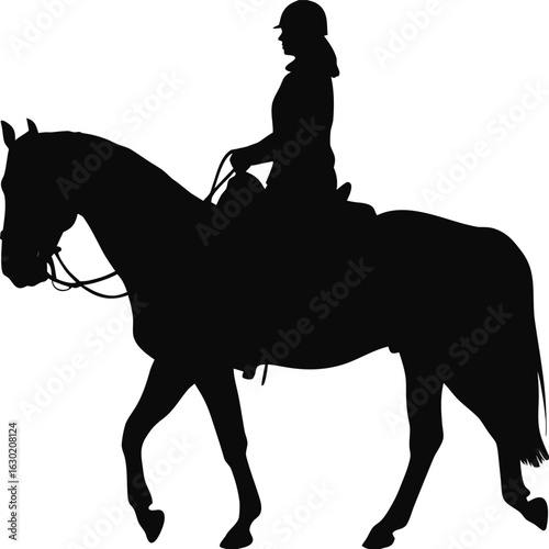 Vector silhouette of a horse and rider in black and white on an isolated background
