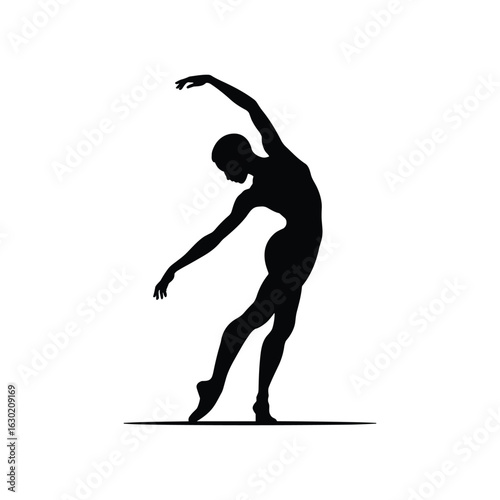 Elegant silhouette of a dancer in a graceful pose