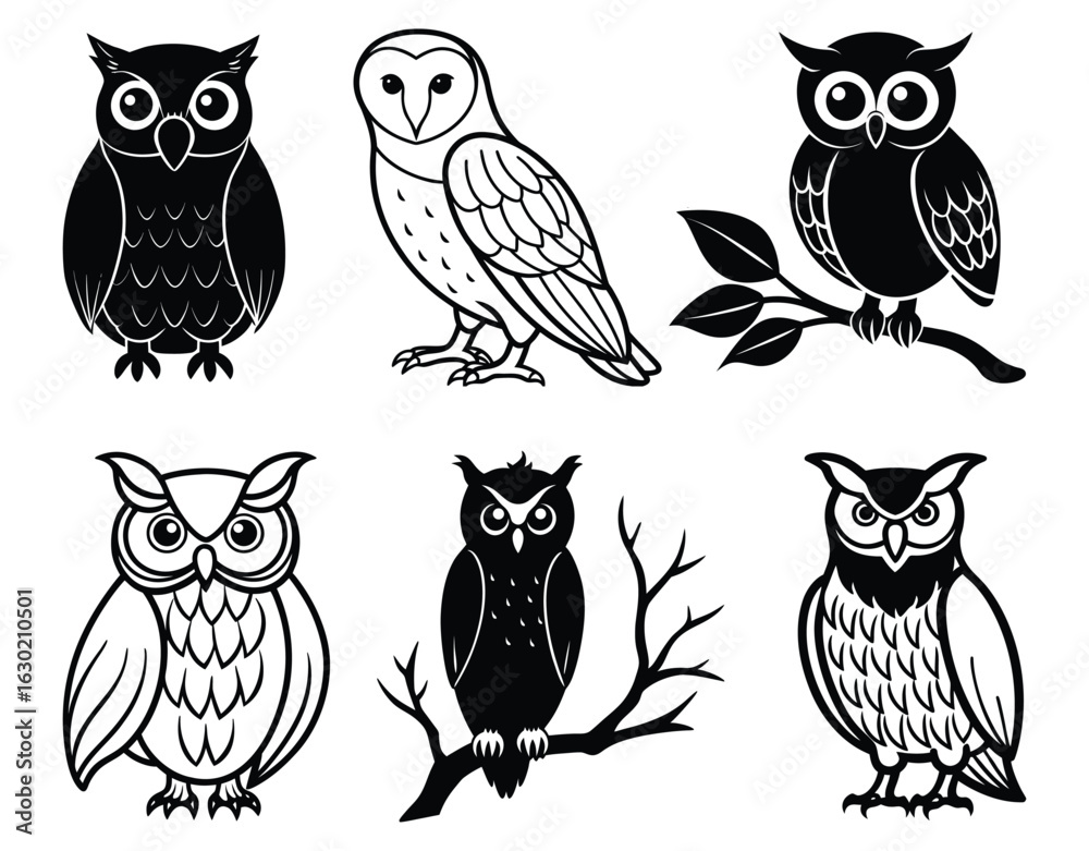 Fototapeta premium Cute Cartoon Owl Silhouette Vector Isolated on White Background