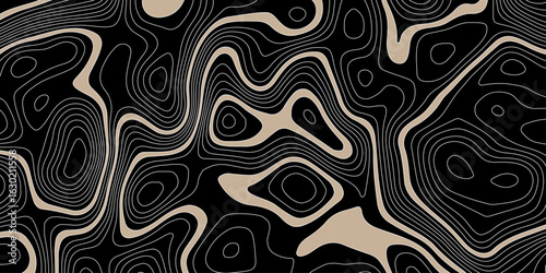 abstract topographic map on a black background with beige areas defined by white contour lines showing elevation and terrain detail