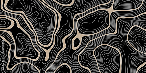 abstract topographic map on a black background with beige areas defined by white contour lines showing elevation and terrain detail