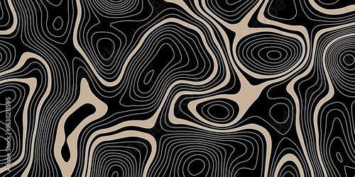 abstract topographic map on a black background with beige areas defined by white contour lines showing elevation and terrain detail