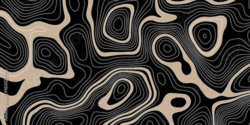 abstract topographic map on a black background with beige areas defined by white contour lines showing elevation and terrain detail