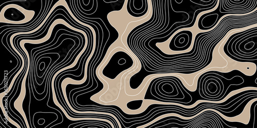 abstract topographic map on a black background with beige areas defined by white contour lines showing elevation and terrain detail