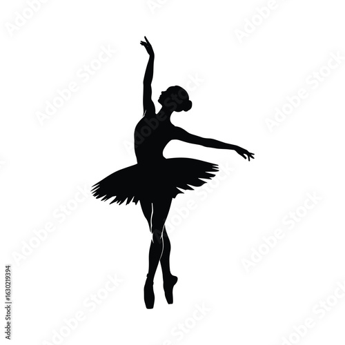 Elegant silhouette of a ballerina in a graceful pose