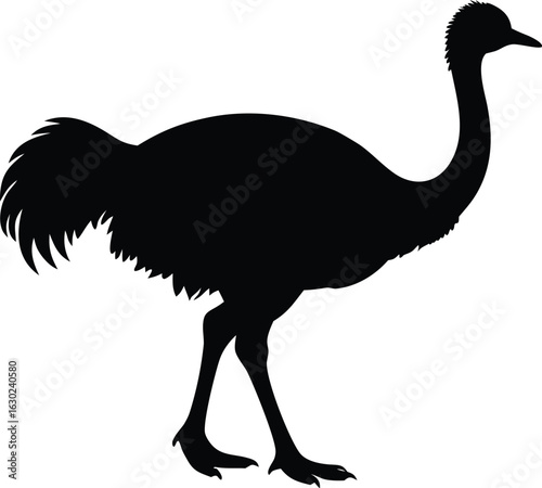 emu bird silhouette vector icon