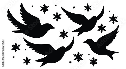 Birds and Stars Silhouette with Open Sky