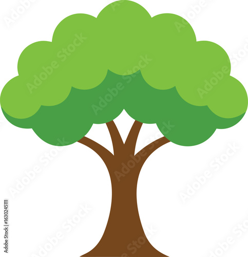 Lime tree isolated on white background, fresh green lime leaves, vibrant citrus tree close-up, natural fruit plant, high resolution, perfect for design, nature, food, and health projects.