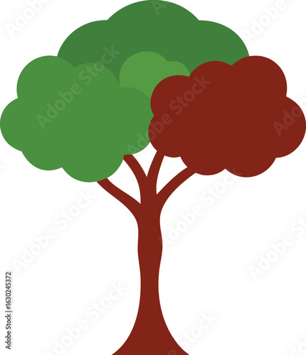 Isolated Kouda Dogwood Tree on White Background – High Resolution Botanical Image for Stock Use, Nature, Landscaping, Educational, and Decorative Design Purposes