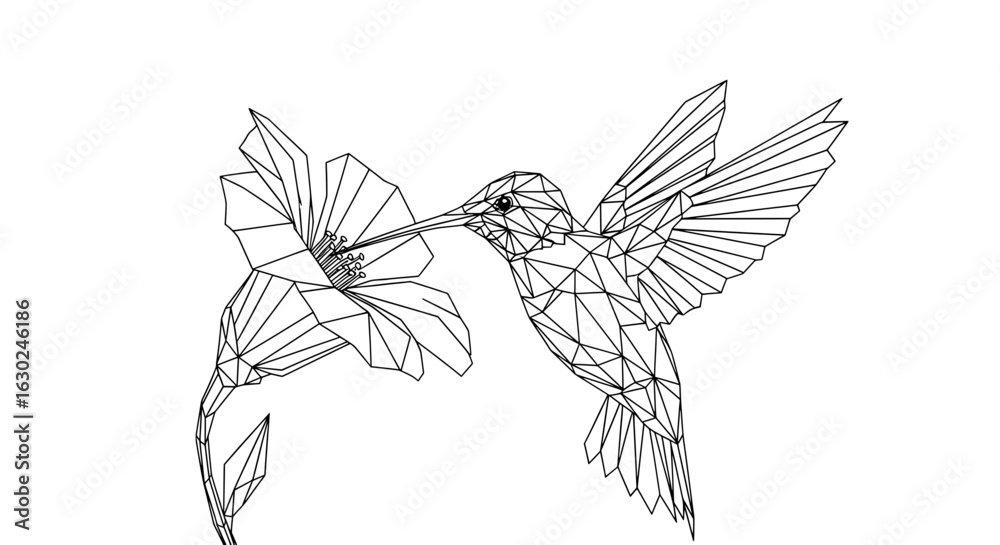 Fototapeta premium Geometric Polygon Hummingbird Line Art Illustration