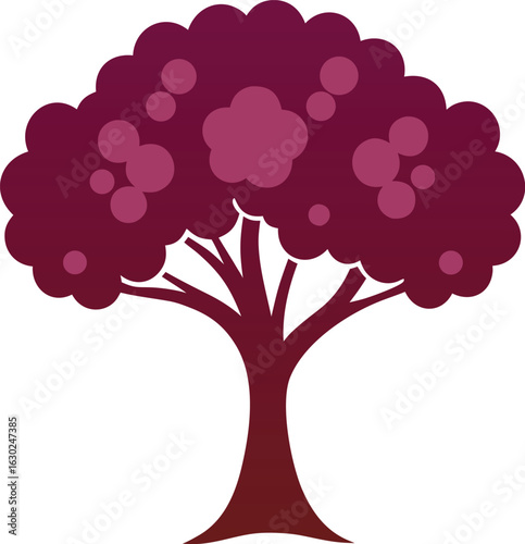 Elderberry tree isolated on white background, elderberry branch with berries, elderberry plant close-up, fresh elderberry tree, nature, herbal, botanical, natural health, organic elderberry