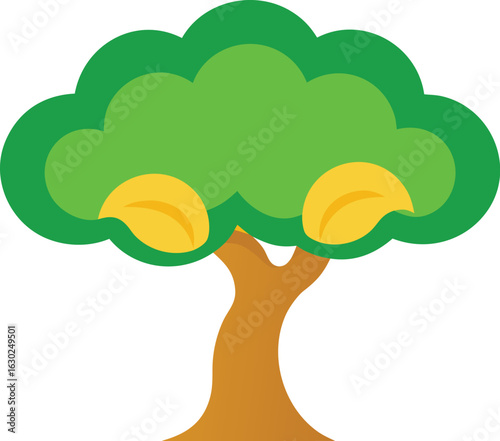 Cashew tree isolated on white background, cashew nuts, tropical tree, green leaves, agriculture, fresh cashew, natural fruit, healthy food, farming, botanical, plant, nature, white backdrop