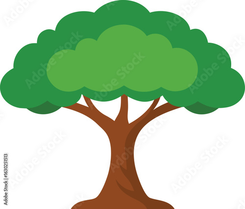 High-quality argan tree image on white background, natural argan plant, isolated argan tree photo perfect for eco, nature, skincare, and botanical projects, clear white backdrop.