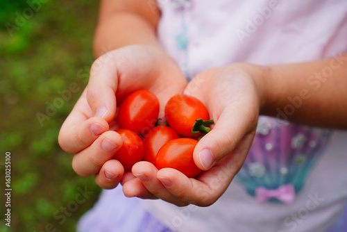 A child holding freshly picked cherry tomatoes in their hands, highlighting the joy of gardening, harvest, and healthy eating in childhood