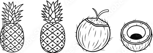 Pineapple and coconut fruit drawing, showcasing tropical, fresh, and healthy food, perfect for summer, sweet, and vitaminrich nutrition