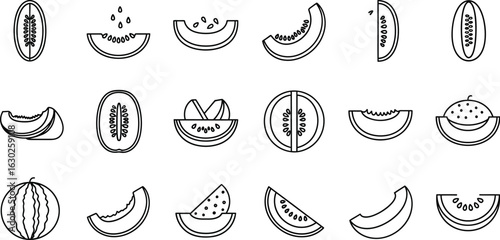Illustration of various melon slices, showcasing fresh and juicy summer fruits, perfect for designs related to food, nutrition, and healthy eating
