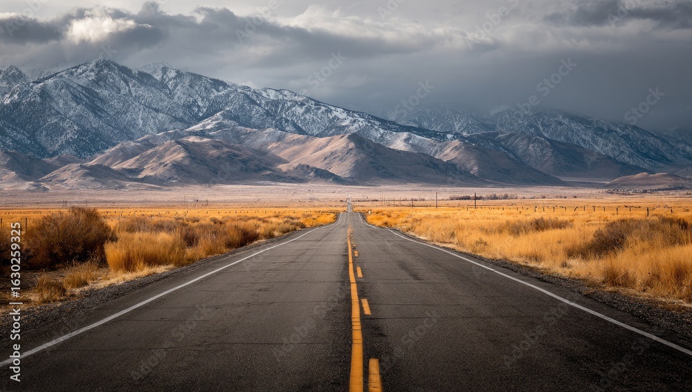 Fototapeta premium A paved road stretches into a vast landscape under a dramatic sky