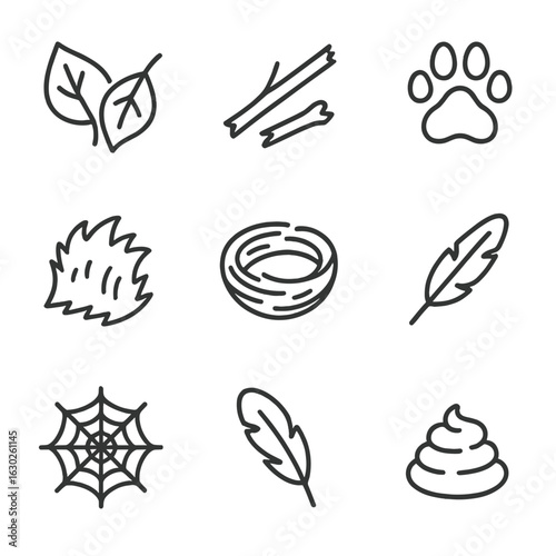 Nature's Remains Icons. Outline icon set of remains in nature: fallen leaves, broken twigs, animal tracks, fur patch, bones, nests