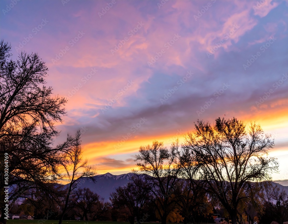 Obraz premium Colorful sunset over a park