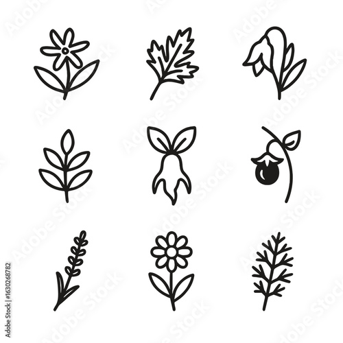 Nocturnal Herb Icons. Outline icon set of nocturnal herbs: night-blooming jasmine, mugwort leaf, wolfsbane flower, moonwort sprig,