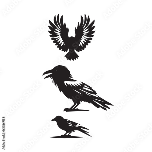 crow set silhouette tattoo,crow set silhouette png ,crow  set silhouette flying ,crow set  silhouette images