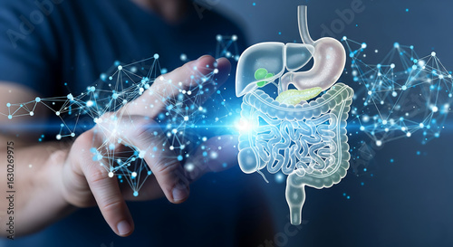 Doctor touching holographic digestive system with glowing connections and data points representing health