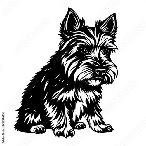 Norwich Terrier Animal Icon