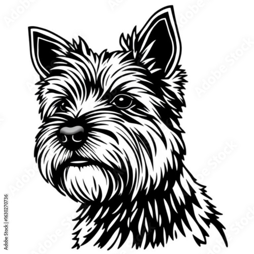 Norwich Terrier Animal Icon