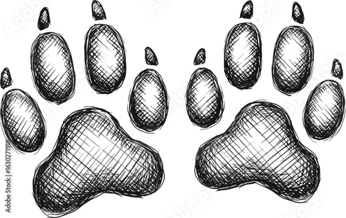Hand drawn sketch style dog paw prints, black and white illustration, pet footprint vector