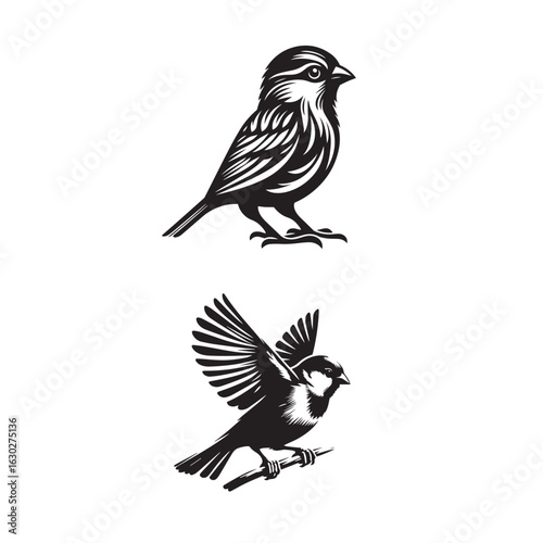 sparrow  set silhouette tattoo,sparrow silhouette set  flying ,sparrow set silhouette pictures ,jack sparrow set silhouette	